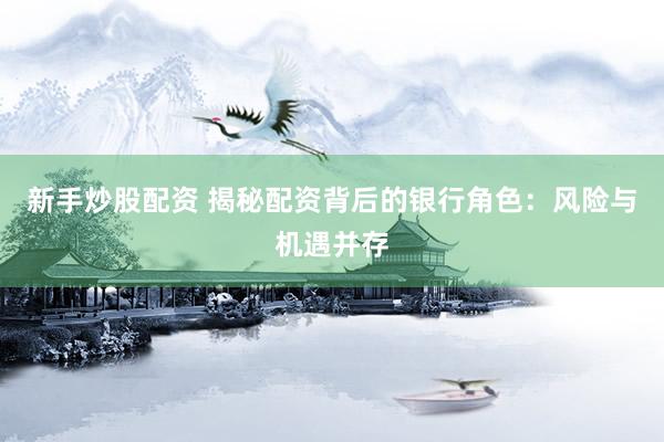 新手炒股配资 揭秘配资背后的银行角色：风险与机遇并存