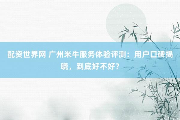配资世界网 广州米牛服务体验评测：用户口碑揭晓，到底好不好？