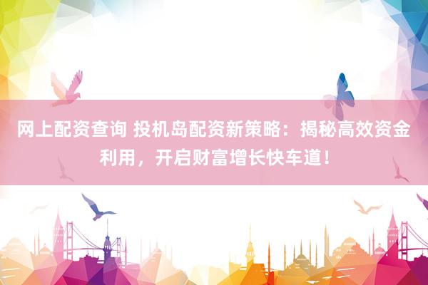 网上配资查询 投机岛配资新策略：揭秘高效资金利用，开启财富增长快车道！