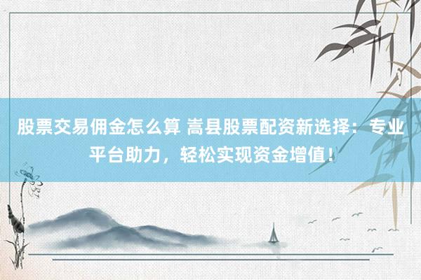 股票交易佣金怎么算 嵩县股票配资新选择：专业平台助力，轻松实现资金增值！