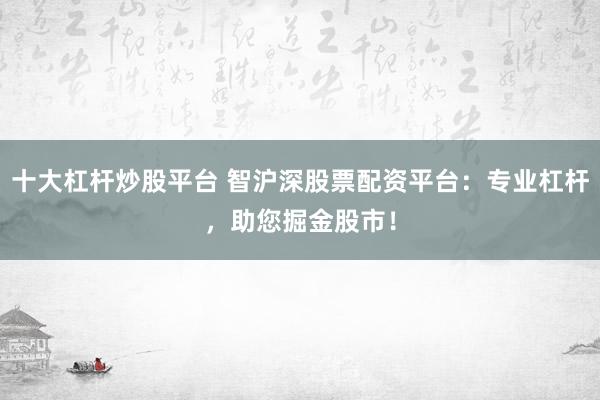 十大杠杆炒股平台 智沪深股票配资平台：专业杠杆，助您掘金股市！