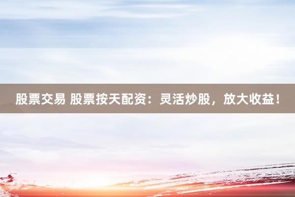 股票交易 股票按天配资：灵活炒股，放大收益！