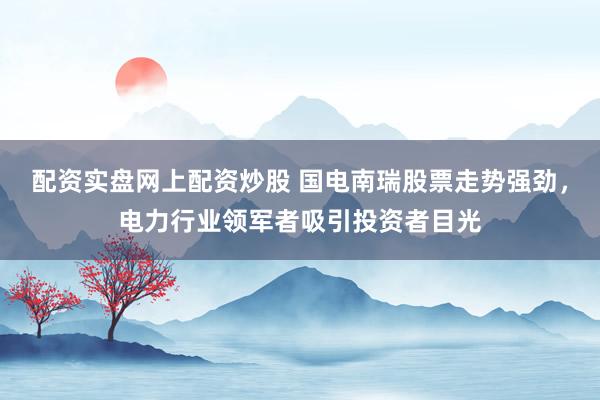 配资实盘网上配资炒股 国电南瑞股票走势强劲，电力行业领军者吸引投资者目光