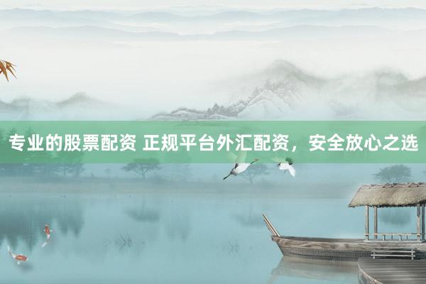 专业的股票配资 正规平台外汇配资，安全放心之选
