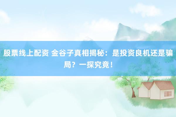 股票线上配资 金谷子真相揭秘：是投资良机还是骗局？一探究竟！