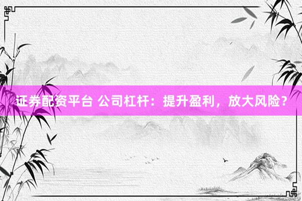 证券配资平台 公司杠杆：提升盈利，放大风险？