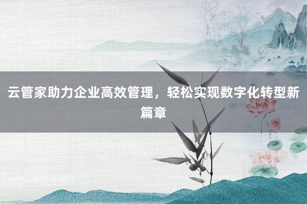 云管家助力企业高效管理，轻松实现数字化转型新篇章